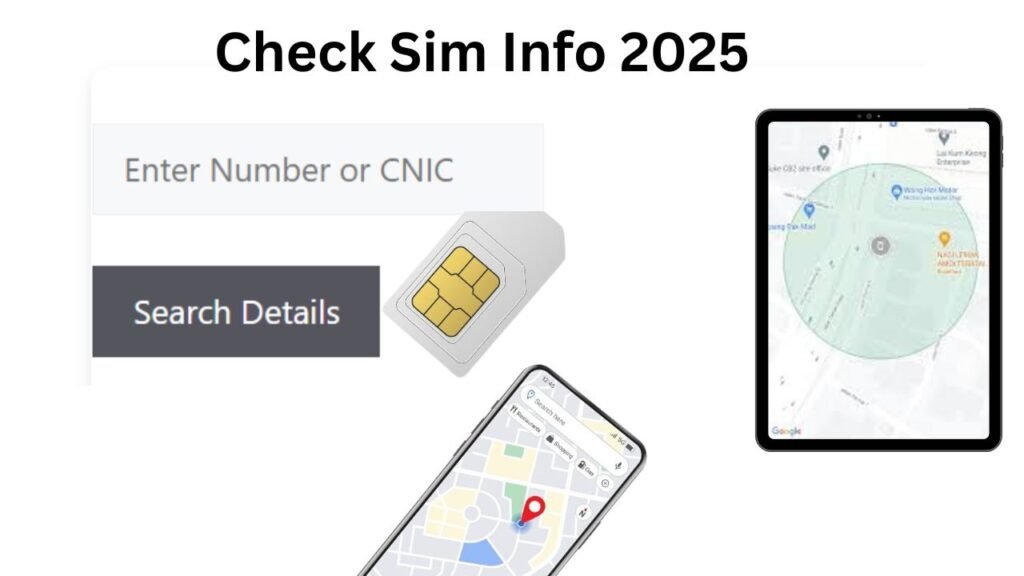 Sim Info 2025